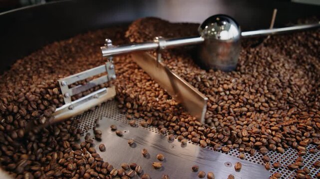 Angled view of roasted coffee beans with metal stirring arm in drum roaster for background Roasting shop factory.