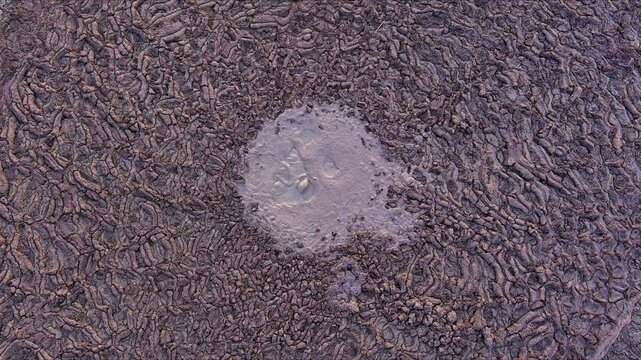 Aerial view of bubbling mud volcano crater and textured cracked earth at Vulcanii Noroiosi Paclele Mici in Scortoasa, Buzau County, Romania.
