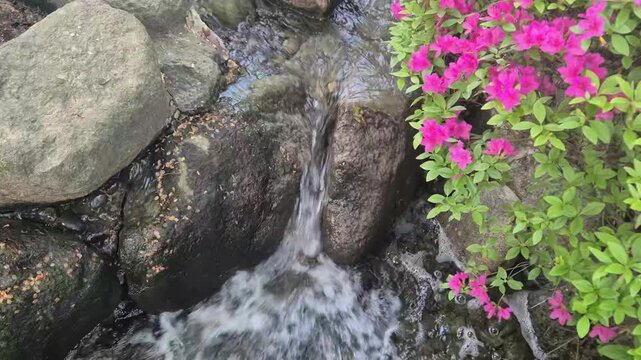 8K UHD Powerful Mountain Stream Water Crashing against Rocks with White Foam