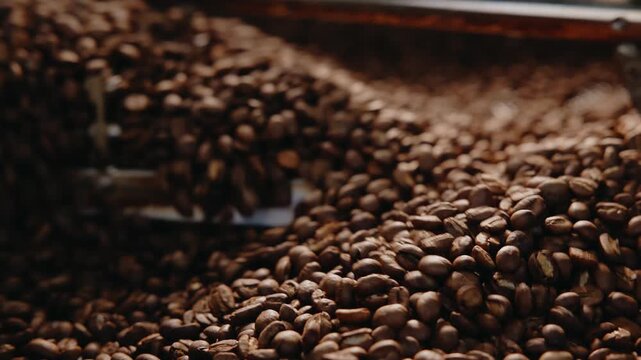 Metal scoop filled with roasted coffee beans in cooling drum for background.