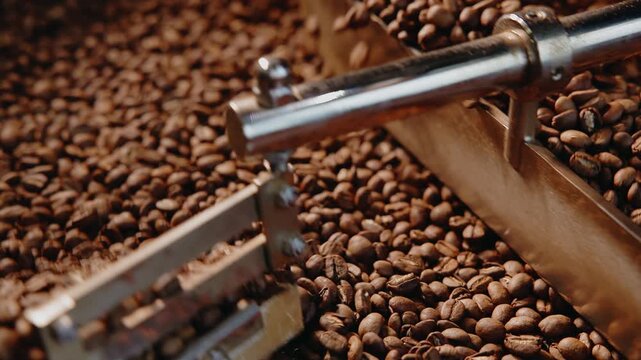 Top view Roasted coffee beans in industrial roaster background for coffee shop, brown texture.