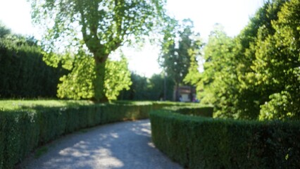 Fototapeta premium Garden path with soft blurred hedges and sunlit trees in shallow bokeh focus, outdoor; background copyspace calm.