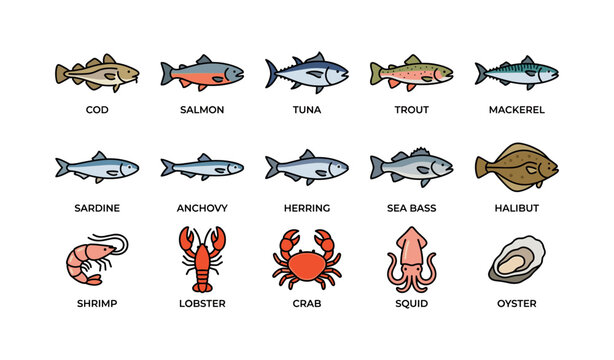 Seafood and shellfish icons arranged in labeled grid on white