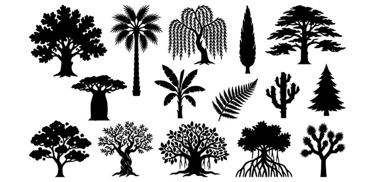 Shadow Puppet Silhouette Tree Collection-Wayang Indonesian Oak Palm Willow Cypress Baobab Banana Fern Cactus Mangrove Joshua-Black White Art