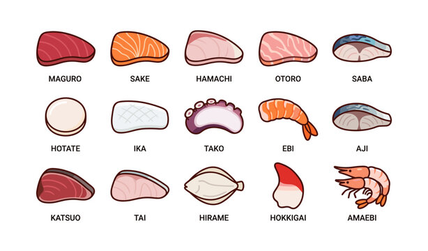 Sushi and sashimi icons displaying fish cuts on white background
