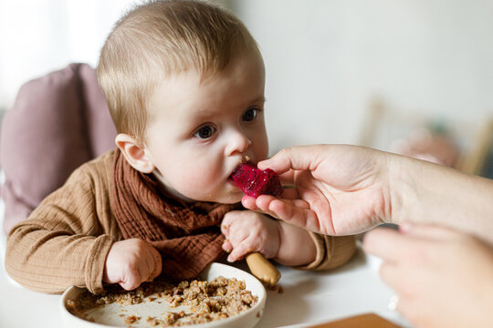 Mother feeding cute baby infant with fuit close up in high chair, eating complementary food. Family domestic life. Mom and son together, joyful moment.