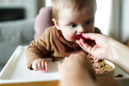 Mother feeding cute baby infant with fuit close up in high chair, eating complementary food. Family domestic life. Mom and son together, joyful moment.