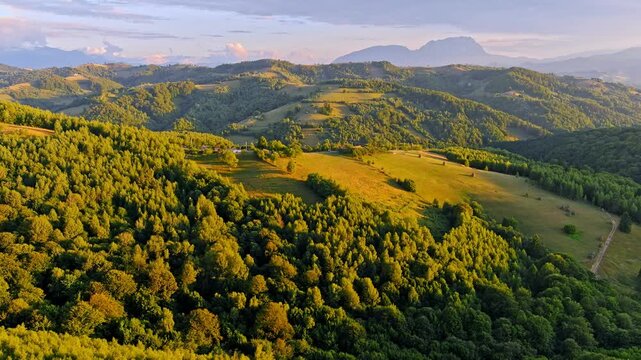 Aerial view of rolling green hills and dense forests at sunset in the rural landscape of Transylvania Holbav, Brasov, Romania.