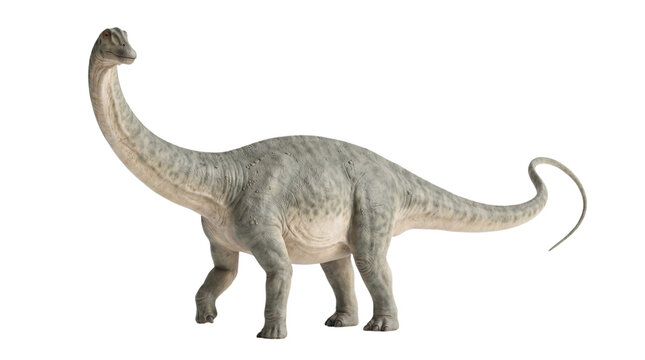 Diplodocus dinosaur standing side profile with raised head