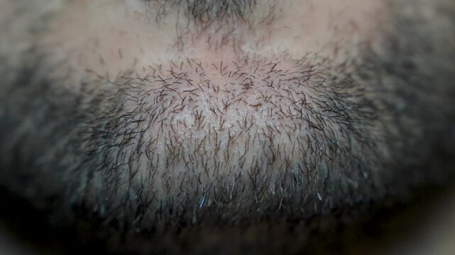 Extreme close-up of male beard and chin stubble texture. Detailed facial hair growth with natural skin tones.