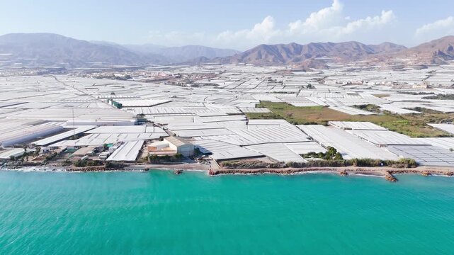 plastic sea greenhouse invernaderos coast intensive farming water border business success industry mountain beach field architecture modern blue summer infinite pattern - Andalusia, Spain - 2025