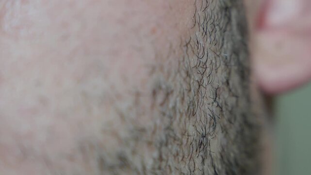 Close-up side view of male beard stubble on cheek and jaw. Detailed facial hair texture and skin surface.