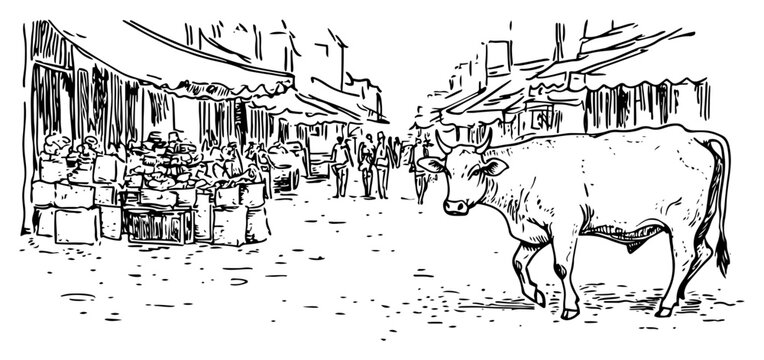 Holy cow walking through a busy indian market street with shops in vintage engraving style