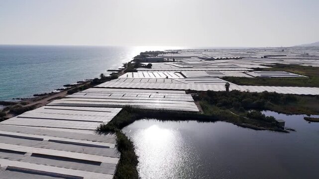 plastic sea greenhouse beach field coast agriculture farming architecture water design drone aerial invernaderos landscape industry terra forming earth - Andalusia, Spain - 2025