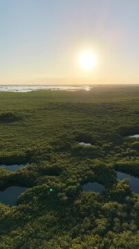 Aerial Drone View of Tulum Coastline at Sunset Caribbean Beach Riviera Maya Mexico