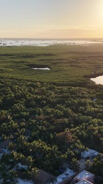 Aerial Drone View of Tulum Coastline at Sunset Caribbean Beach Riviera Maya Mexico