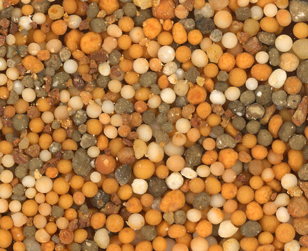 Granulated dry fertilizer