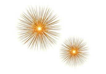 Obraz premium two photorealistic cgi starburst firework explosions composed of radiant, sparkling molten gold filaments against a transparent background, emphasizing high-end commercial graphic design concept