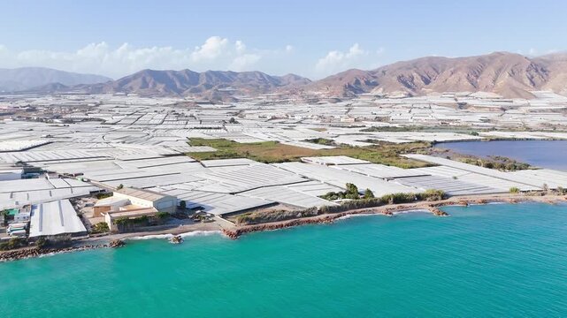 agriculture coast summer greenhouse field beach mountain blue skyline invernaderos farming intensive drone aerial view - Andalusia, Spain - 2025