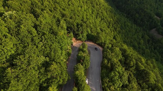 Winding road curves through lush green forest under bright sunlight, inviting exploration and adventure along tranquil pathways