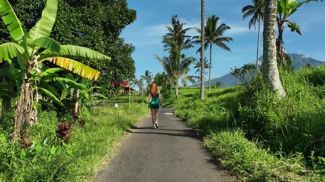 Aerial view of a woman walking along a path through lush green rice fields and palm trees with a mountain in the background near Kawah Ijen, East Java, Indonesia.