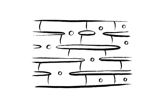 Cells structure sketch