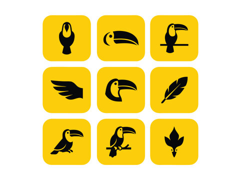Toucan Bird Icons Collection.