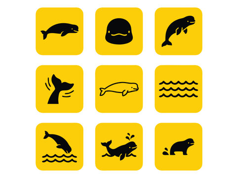 Whale Icons Collection.