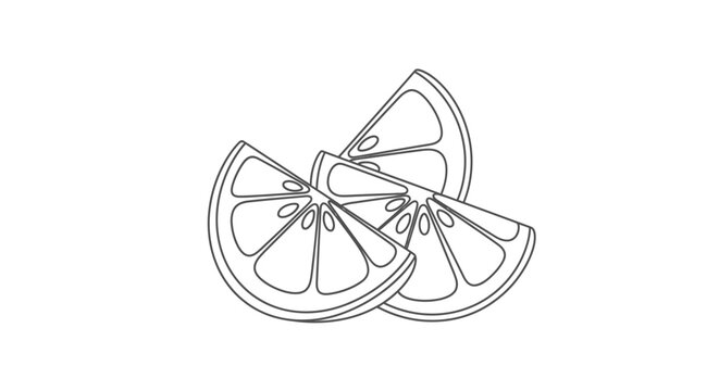 Sliced Orange Fruit Line Art Illustration.
