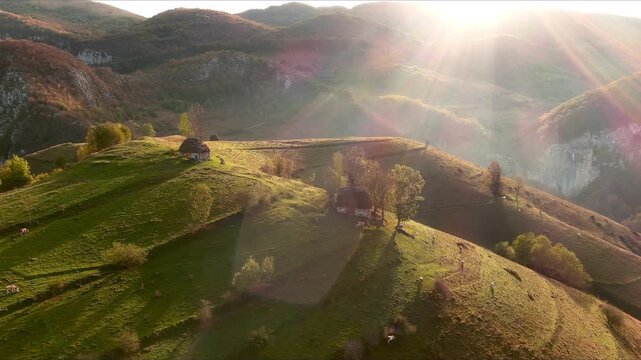 Aerial view of traditional thatched-roof houses on rolling green hills during a golden sunset in Salciua de Jos, Alba County, Romania.