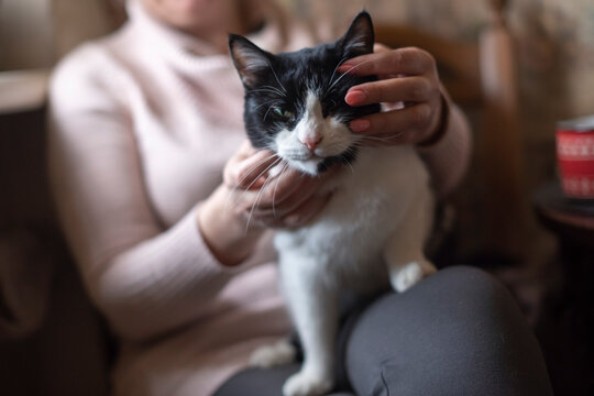 A woman with light brown hair holds a black and white domestic cat. it has a distinct black patch over one eye. The setting is cozy and warm.