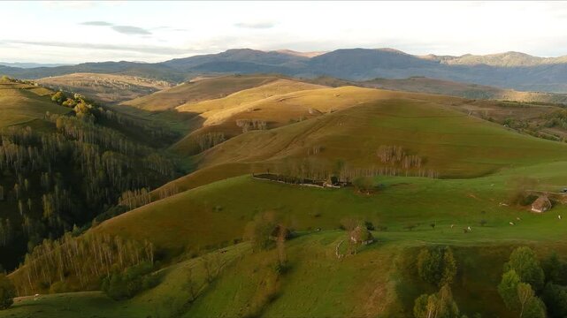 Aerial view of rolling green hills and forested valleys under a soft golden light in the Apuseni Mountains region Salciua de Jos, Alba County, Romania.