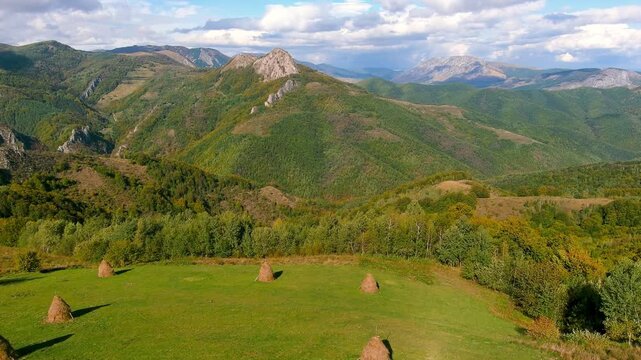Aerial view of traditional haystacks scattered across green meadows surrounded by forested mountains and rolling hills Salciua de Jos, Alba County, Romania.