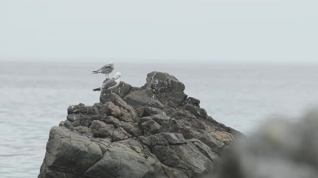 Korean nature scenery