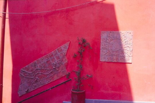 Roma, Italy & GA Plants 7-16-03-Bridge Wall Art
