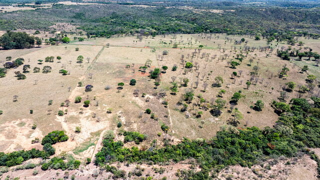 Aerial view of the typical vegetation of the high-altitude Cerrado in the Cafuringa Environmental Protection Area, which is undergoing deforestation. Fercal, DF, Brazil, 2025