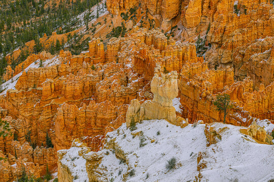 Close-up of intricate orange hoodoos partially covered in snow with scattered evergreen trees in Bryce Canyon National Park, Utah