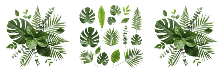 Top View of Green Tropical Leaves Arranged in Circular Bouquets and Flat Lay Grid Pattern Isolated on White Background. Monstera, Palm, and Fern Exotic Plant Set. © Badar