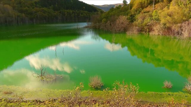 Aerial view of the vibrant green toxic lake surrounded by forested hills and bare trees under a bright sky in Geamana, Alba County, Romania.