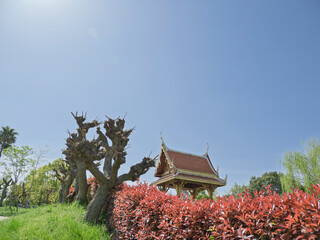 陽光降り注ぐ異国の風景。鶴見緑地・タイ庭園に映える伝統のサラ・タイ © かめです