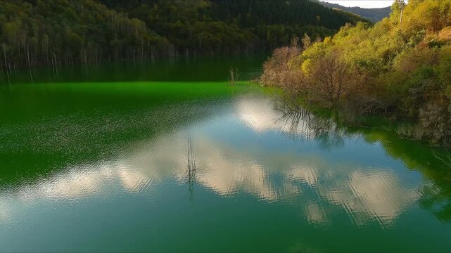 Aerial view of the toxic green waters of Geamana lake with cloud reflections and autumn forest in Geamana, Alba County, Romania.