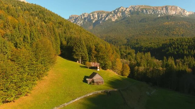 Aerial view of traditional wooden cabins on a green meadow surrounded by dense pine forests and rocky mountain peaks in Bran, Brasov, Romania.
