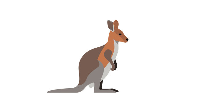Australian Wallaby Standing Proudly in Profile Against White Background.