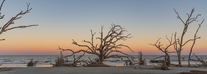 panoramic views of warm sunset glowing behind twisted tree remains and scattered driftwood along the shoreline of Driftwood Beach on Jekyll Island © Her Endless Journey 