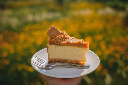 Delicious cheesecake slice outdoor garden food photography bright nature close-up view culinary delight