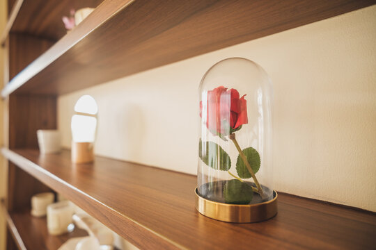 Captivating floral display preserved rose in glass dome modern interior home decor warm ambiance close-up perspective