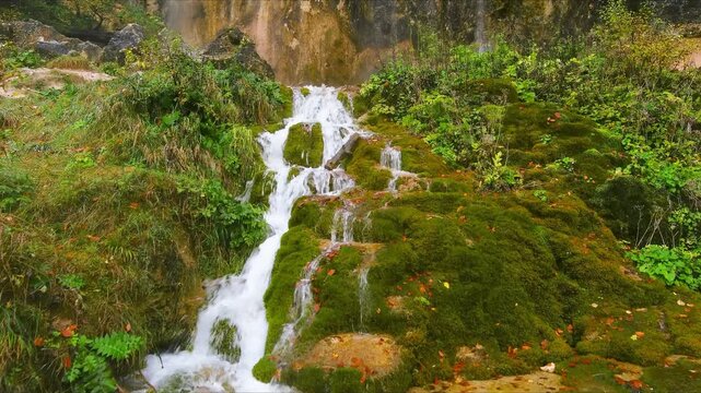 Aerial view of Cascada Pisoaia waterfall flowing over mossy rocks surrounded by lush green forest in Nemesi, Judetul Alba, Romania.