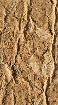 Ancient fossil imprint preserved in sedimentary rock formation showing detailed natural texture and geological stratification for educational content.