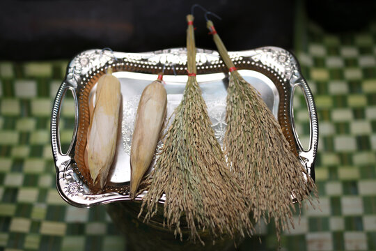 A decorative silver tray holds dried corn cobs and bundles of harvested rice stalks, arranged neatly against a soft green patterned background.