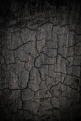 Fototapeta premium Wood surface shows cracks and texture in a close-up view during daylight hours in a natural setting
